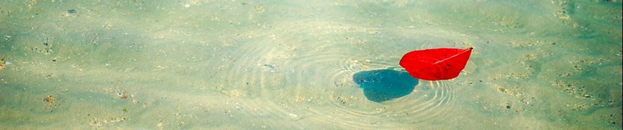 Kopfgrafik Change Nocebo